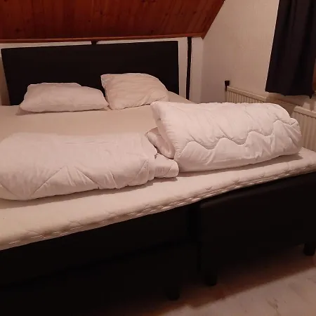 公寓 Lodewijkhoeve *