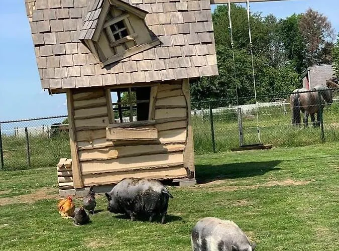 アパート Lodewijkhoeve Banholt